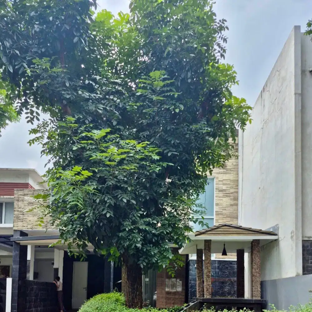 Dijual Rumah Siap Huni LT 126m2 di Mahogani Cibubur