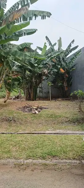 Kavling Murah Siap Bangung Akses Jalan Lebar di Nusaloka BSD