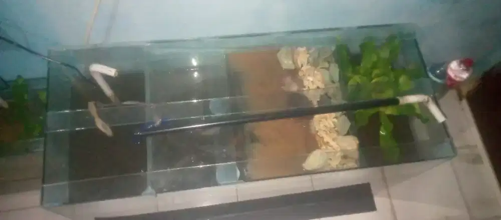 Jual akuarium kaca 5 Mili