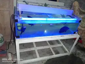 Jual aquarium plus meja