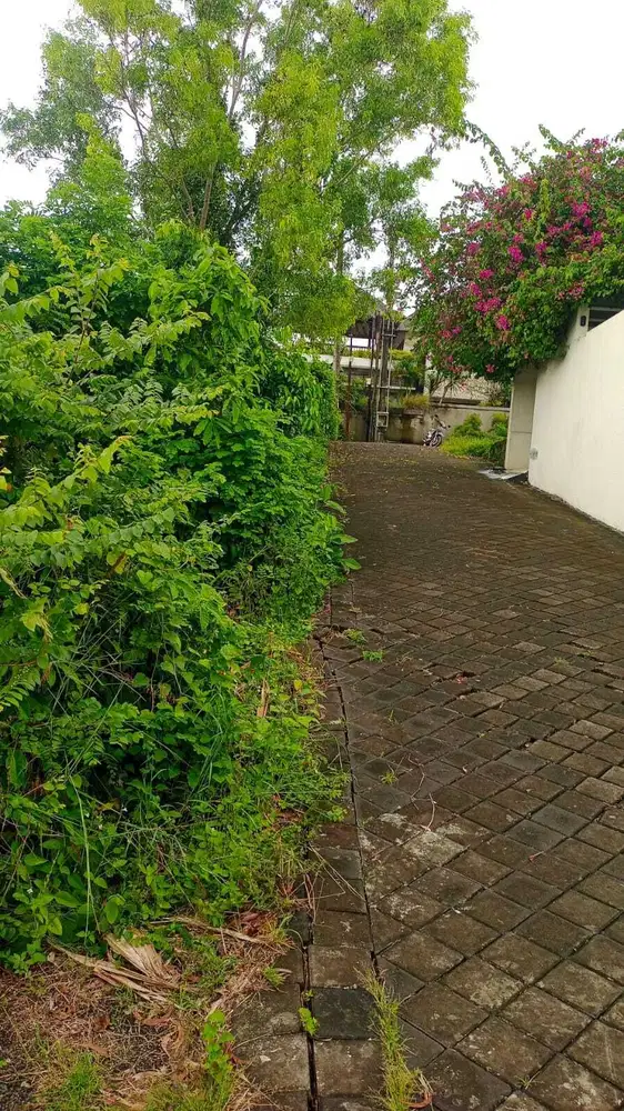 Jual tanah jl toyaning ungasan dekat pantai