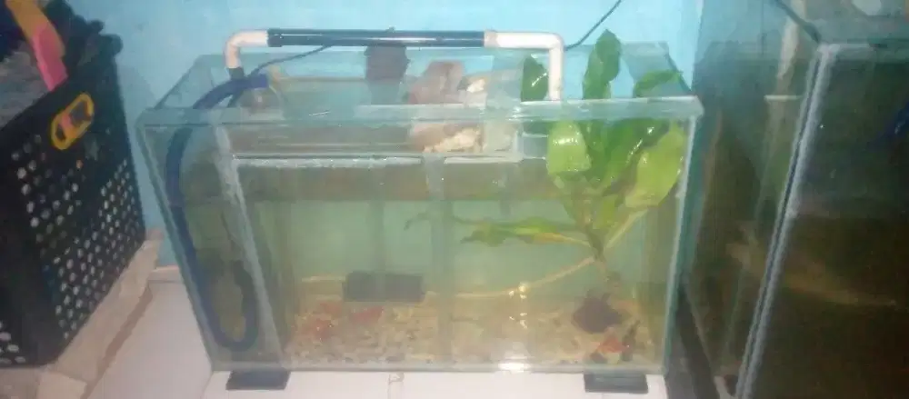 Jual aquarium kaca 6 Mili kaca polos