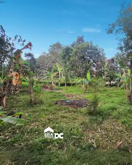 Tanah Ngantong Luas Dekat Taman Mijen di Amarta semarang