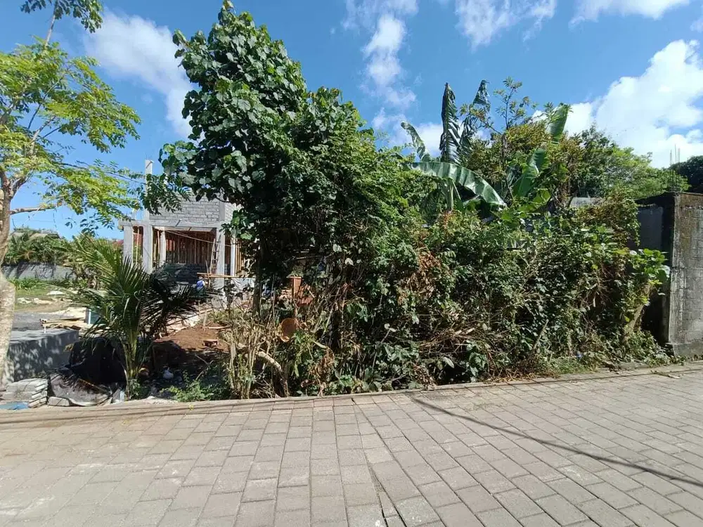 Dijual tanah murah ungasan bali kendedes cocok untuk villa