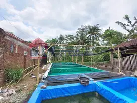 DIJUAL Tanah Daerah Gunung Kawi Bonus Pembibitan Lele