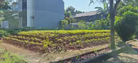 Jual Tanah di Cluster Bukit Cimanggu City Bogor