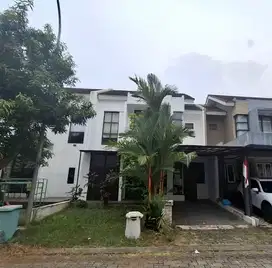 Albera Foresta BSD