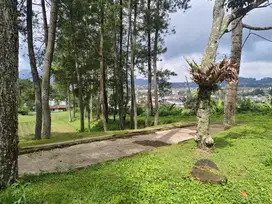 Tanah Luas Strategis Jalan Raya Lembang Bandung