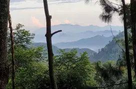 TANAH KAWASAN CIJERUK SAGULING DEKAT CANYON CIKAHURIPAN