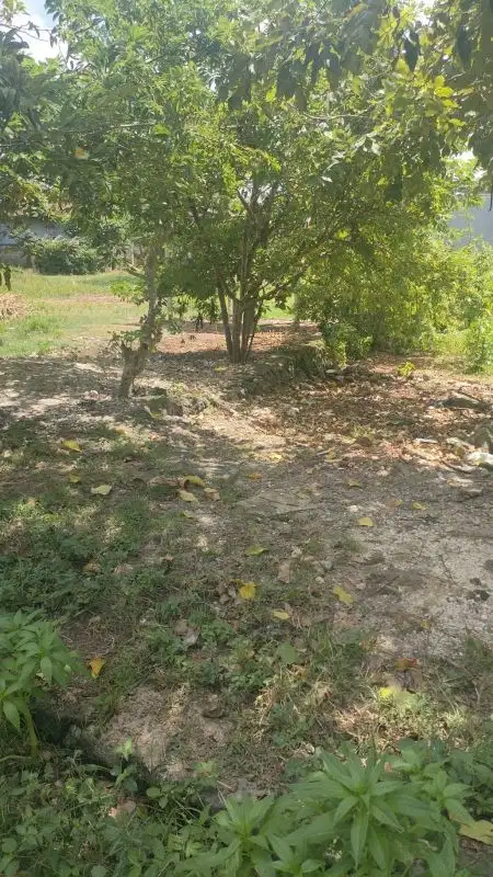 TANAH DIJUAL
LOKASI : Jl Jatayu Goa gong ungasan