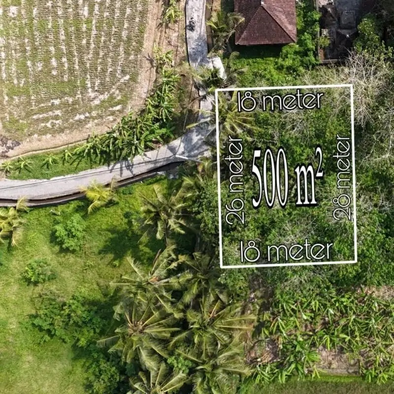 LAHAN KECIL LANGKA DI KAWASAN VILLA TEBONGKANG - UBUD, BALI