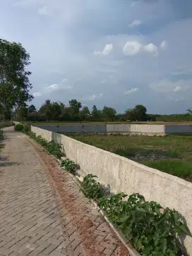 Dijual Cepat Tanah Seluas 981 Meter Dekat Stasiun KRL Daru Status SHM