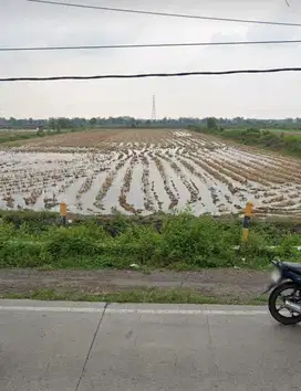 TANAH TAMBAK NOL JALAN RAYA GRESIK dkt cerme kebomas manyar