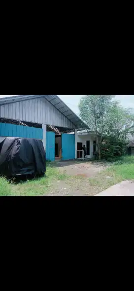 Di kontrakin tahunan
