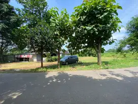Jual Cepat Tanah Puspitek Pagedangan dekat Fasilitas BSD CITY