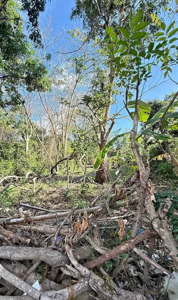 DIJUAL TANAH TERMURAH DI NUSA DUA – BALI