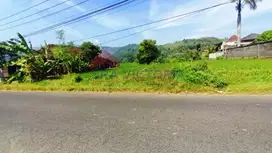 Di Jual Tanah Cocok untuk Usaha Lokasi Poros Jalan Lawang