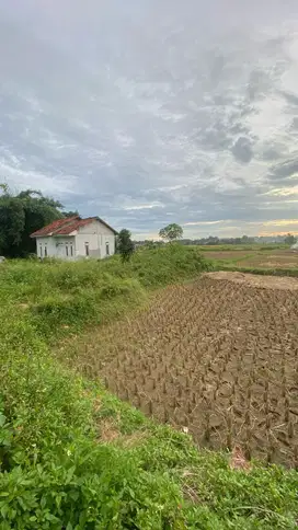Dijual tanah murah dekat Paramount Petal Legok