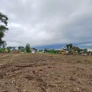 Tanah Terbaik di Kalasan, Akses Mudah, Harga Rendah