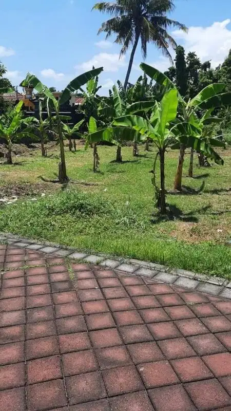 Dijual tanah lokasi  buduk pecahan kecil jarang ada