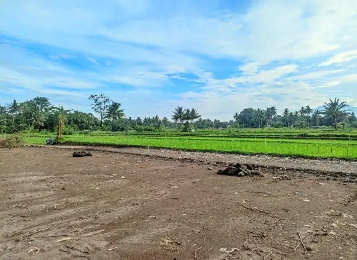Tanah View Asri Area Palagan, Utara Masjid Suciati