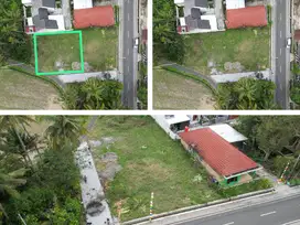 Akses Jalan Lebar Dijual Tanah Di Moyudan Jalan Godean Sleman