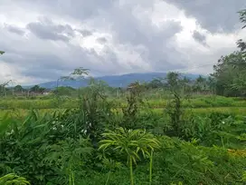 Tanah Pekarangan Murah Pinggir Jalan Lawu Karangpandan Karanganyar