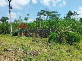 Tanah dijual murah di Karangnongko Wates Poncokusumo Malang