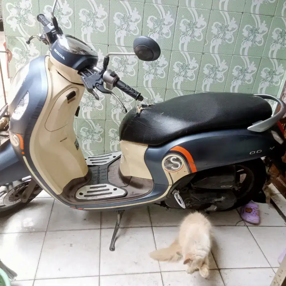 Scoopy matic 2020
