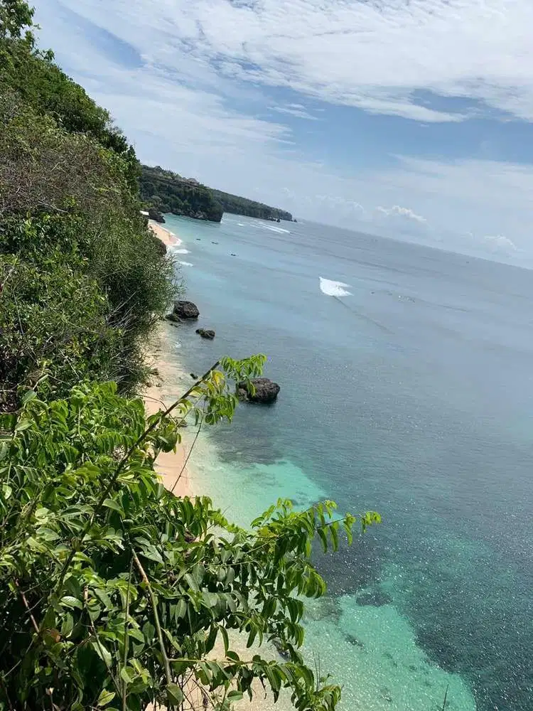 TANAH TEPI TEBING LAUT BINGIN