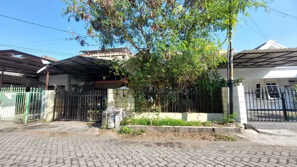 Rumah Panjang Jiwo Rungkut Tenggilis Mejoyo dekat Ubaya