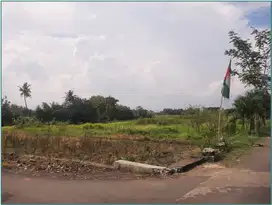 Tanah Murah Sleman SHM Legalitas Aman di Godean