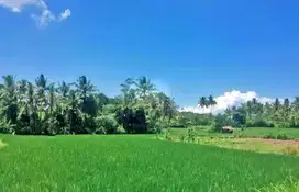 DIJUAL TANAH BENDA TANGERANG BANTEN (pstn03)