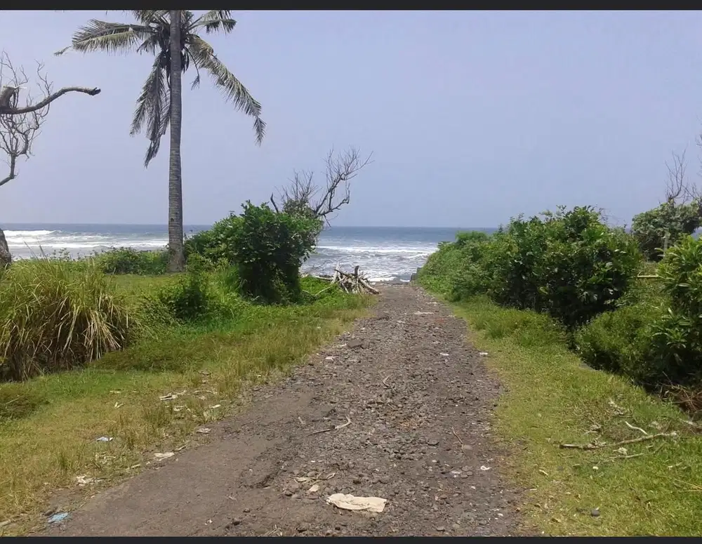 DIJUAL TANAH LOS PANTAI BERABAN DAN SUNGAI DI TABANAN