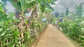 Dijual Murah Tanah Datar ditengah Perkampungan Bojong Purwakarta