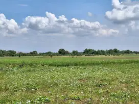 TANAH DI DESA PACUH, BALONGPANGGANG GRESIK