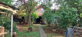 Dijual rumah tua dengan halaman yg  luas di pasar minggu, Jak Sel