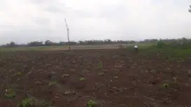 Dijual Murah Sekali, Tanah cck u/ Kebun, Cafe view gunung di Rancaekek