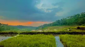 Dijual Murah Tanah Kebun dan Sawah Luas 4000 m2 di Cikalong Bandung