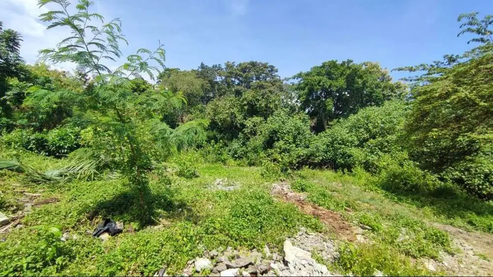 DIJUAL TANAH PINGGIR SUNGAI - LINGKUNGAN VILLA