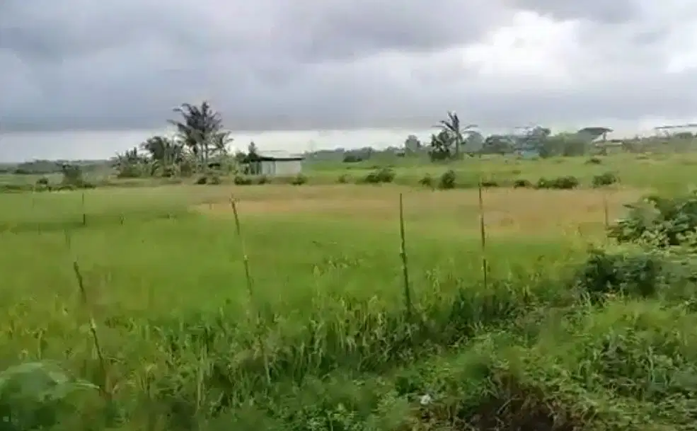 TANAH ZONA PERDAGANGAN JALAN RAYA MENGWI