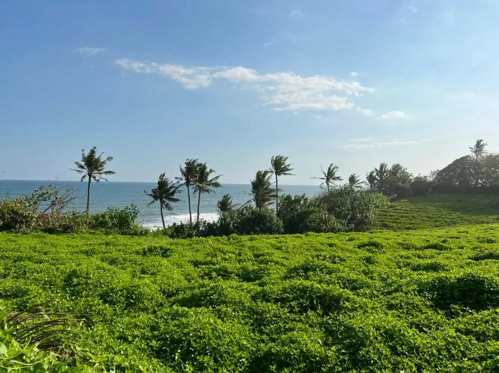 DIJUAL TANAH PREMIUM BEACHFRONT DI TABANAN