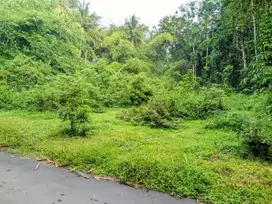 Tanah 150 Juta 600 Meter GOR Pangukan