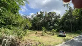 Tanah Sleman Kota Belakang Kantor BPN