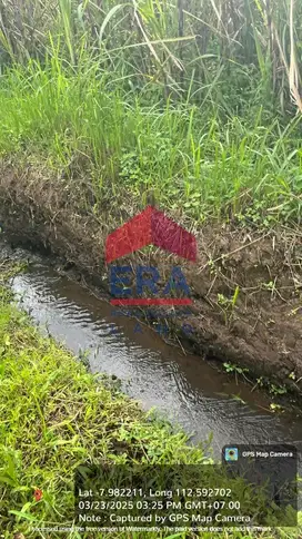 Dijual Tanah di Jalan Pandanlandung Wagir Malang