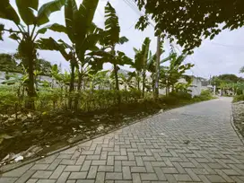 Tanah kavling dekat dengan perumahan Kencana Loka sektor 1205
