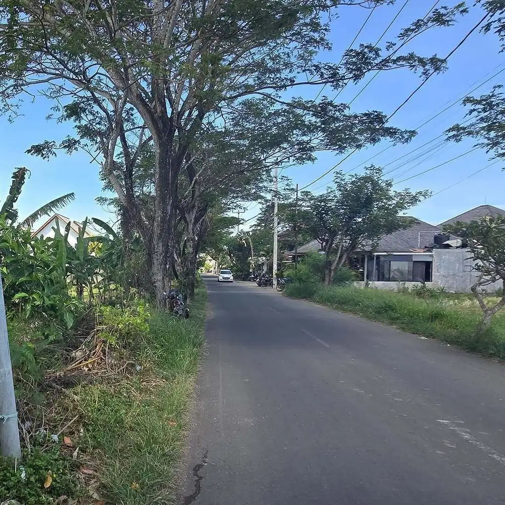 LAHAN DI LOKASI PREMIUM & JALAN UTAMA PANTAI SESEH, TABANAN - BALI