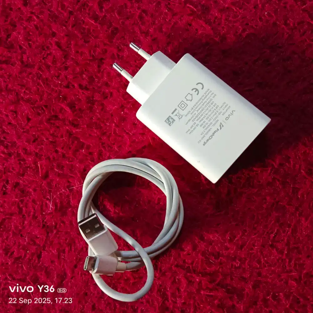 charger vivo 80watt original bawaan hp