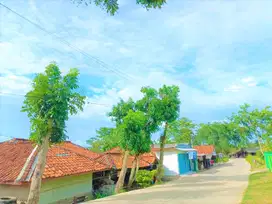 Kavling Dekat Kawasan Deltamas, Promo 1 Jt-an/m2, SHM