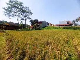 Tanah SHM 1.034 m² di Pusat Kota Cianjur